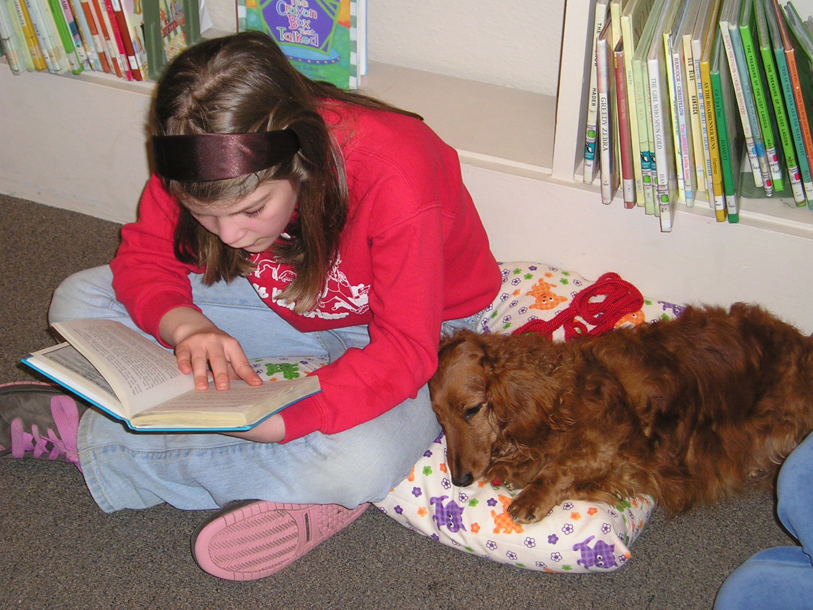 Furry Tales at KB Library.